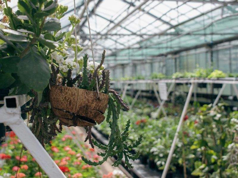植栽設計・ガーデンデザイン